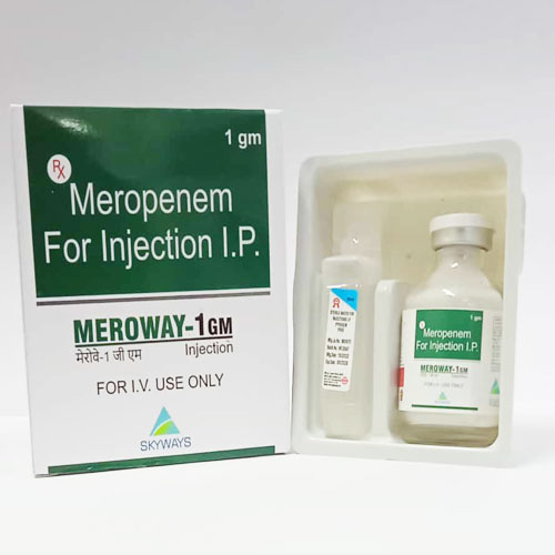 Meroway-1gm Injection