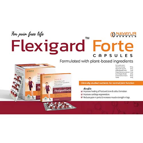 Flexigard Forte Capsules