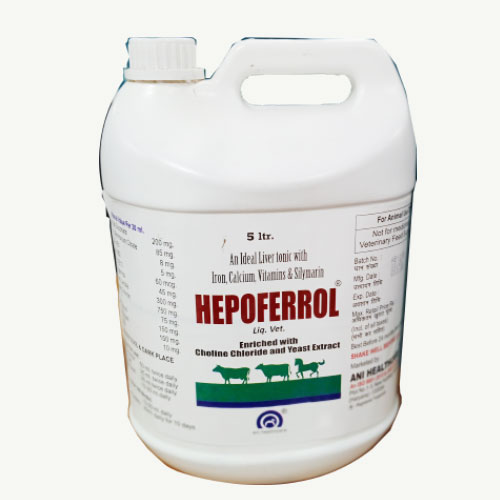 HEPOFERROL 5L Syrup