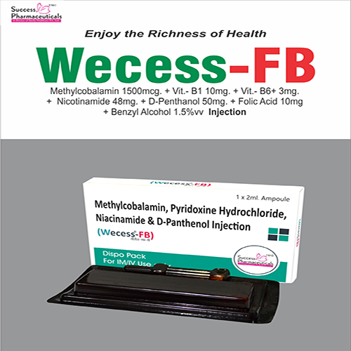 WECESS-FB Injection