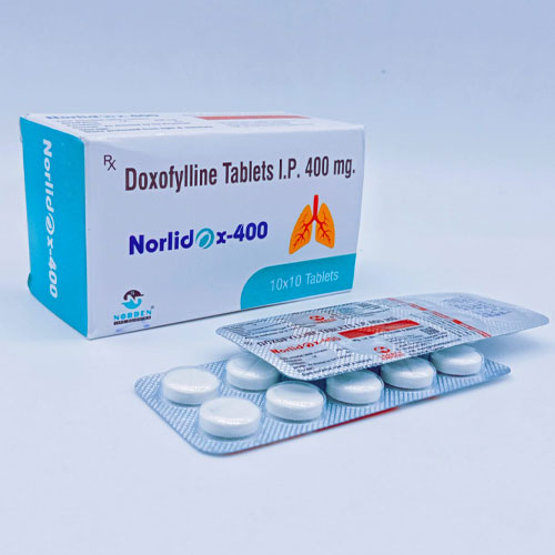 NORLIDOX - 400 Tablets