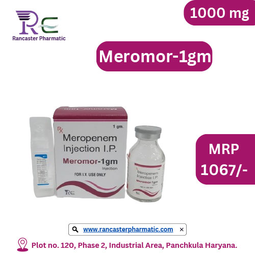 MEROMOR-1GM INJECTION