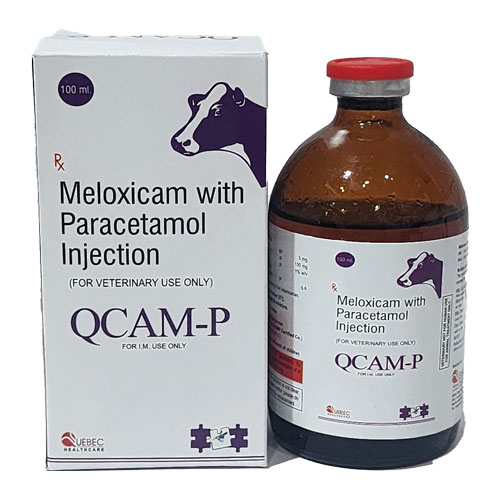 QCAM-P Injection (100ml)