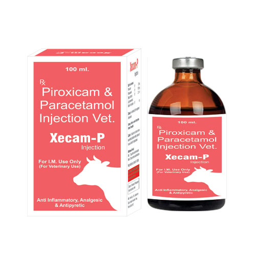 XECAM-P Injections