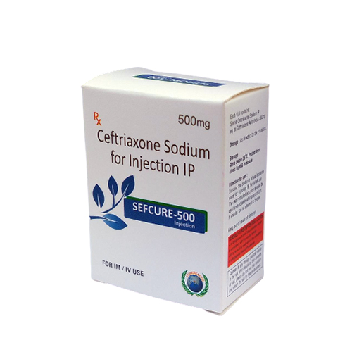 SEFCURE 500 MG Injection