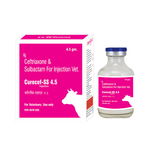 CURECEF-SS 4.5gm Injections