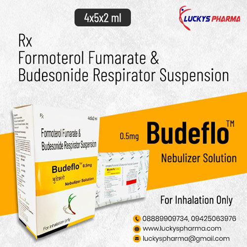 BUDEFLO 0.5mg Nebulizer Solution