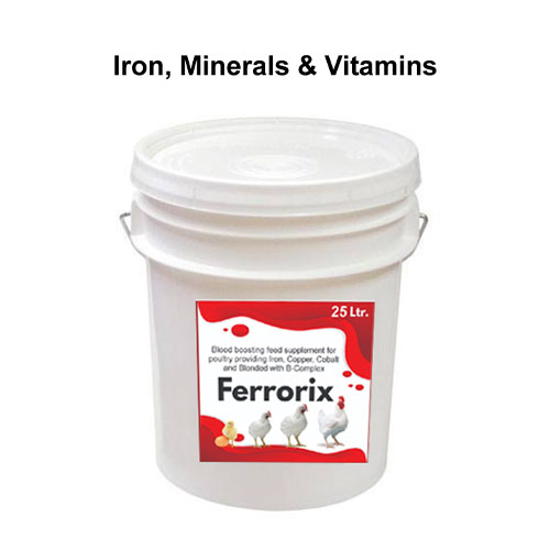 FERRORIX 25 Liter Iron Tonic