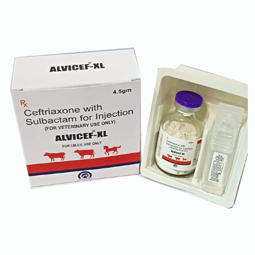 ALVICEF-XL 4.5GM Injection