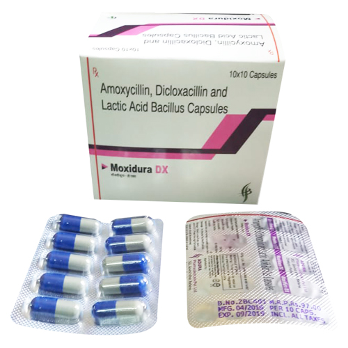 AMOXYCILLIN + DICLOXACILLIN + LACTIC ACID BACILLUS Capsules