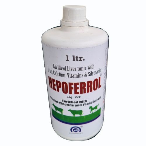 HEPOFERROL 1L Syrup