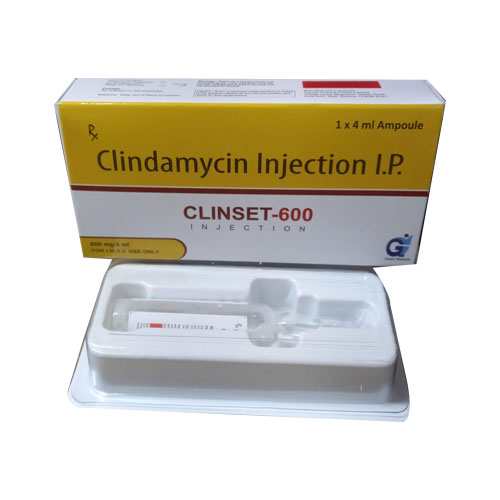 CLINSET-600 Injections
