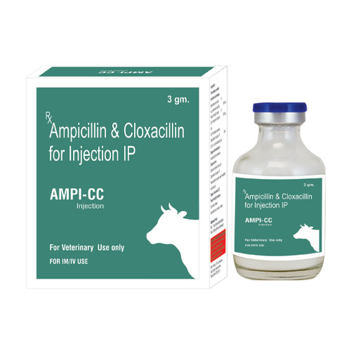 AMPI-CC Injections