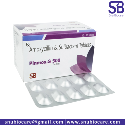 Pinmox-S 500 Tablets