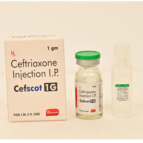CEFSCOT-1GM Injection