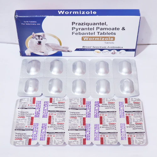 WORMIZOLE TABLETS