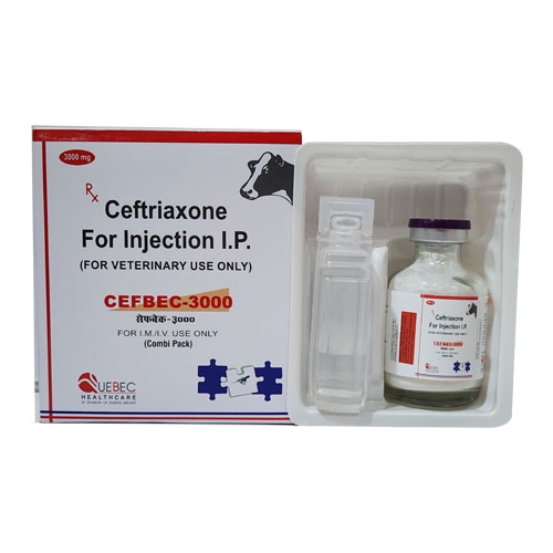 CEFBEC-3GM  Injections