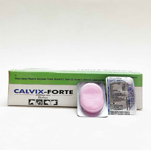 CALVIX-FORTE Bolus