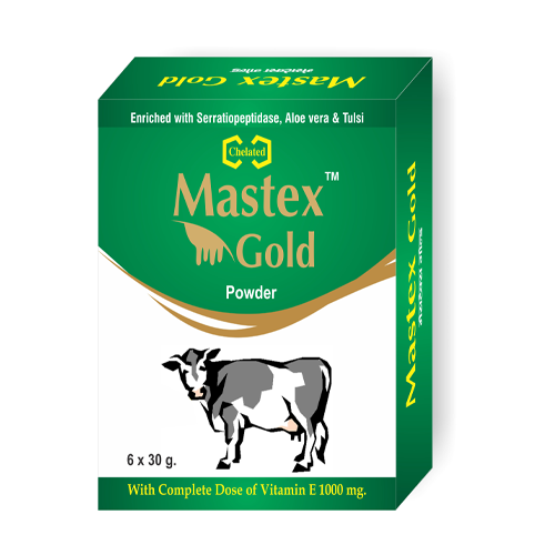 MASTEX GOLD Powder