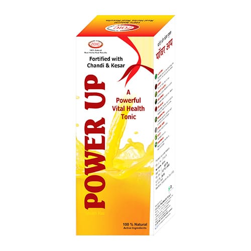 POWER UP (A POWERFUL VITAL HEALTH TONIC) Syrup