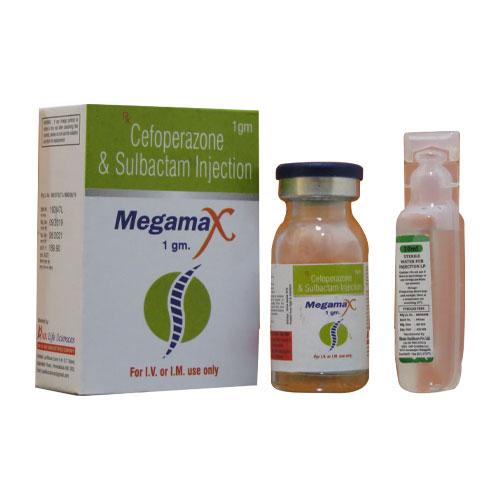 Megamax-1Gm Injection