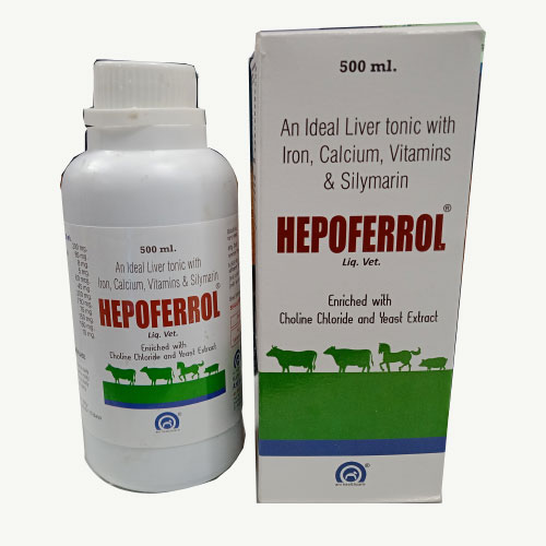 HEPOFERROL 500ML Syrup