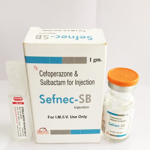 SEFNEC-SB 1GM Injection