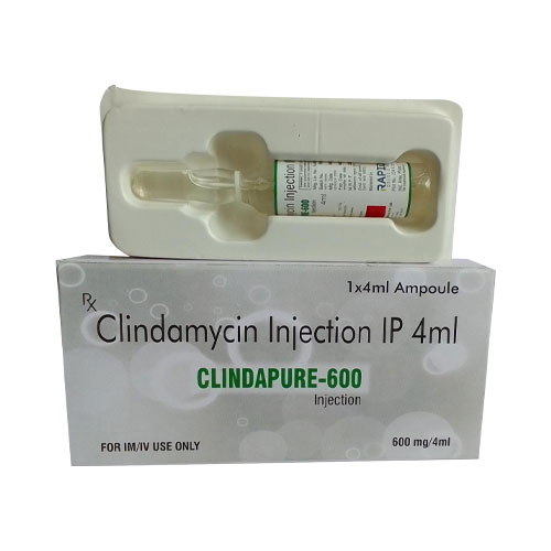 Clindamycin 600mg Injection