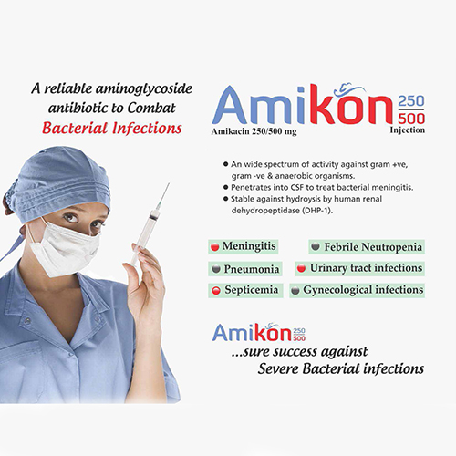 AMIKON-250/500mg Injection